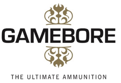 gamebore